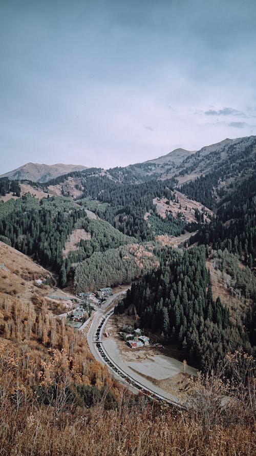 Pic1
